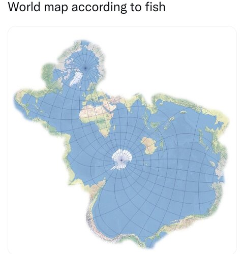 Screenshot_20221127_082701_Twitter.jpg