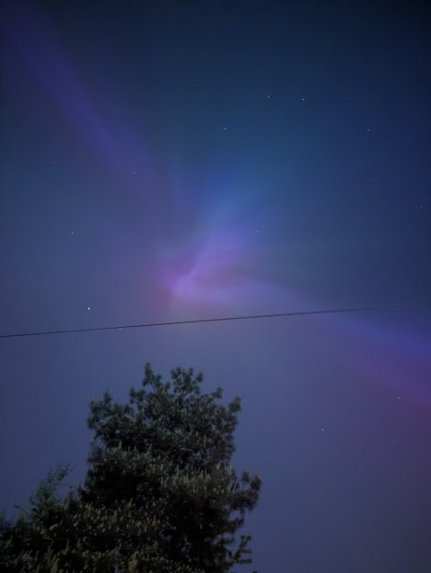 1000024301.jpg