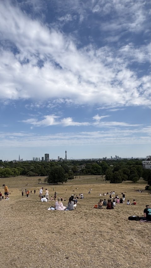 IMG_8484.jpeg