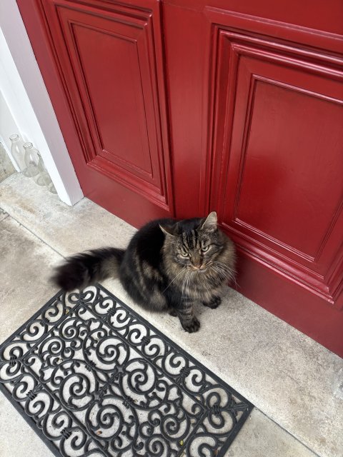 IMG_5024.jpeg