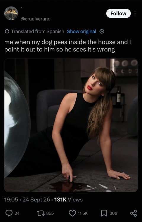37300.jpg