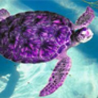 PurpleTurtle