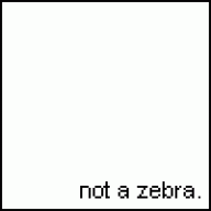 The Anti-Zebra