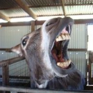 heehaw