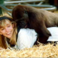 Michaela Strachan