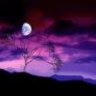Purplesky