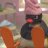 Pingu