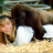 Michaela Strachan