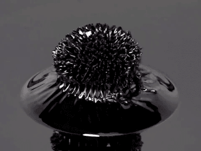 hvxpw.gif