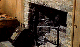 the birds film GIF