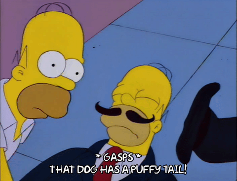 source.gif