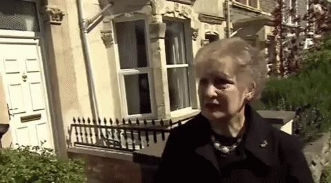 brenda-from-bristol-election.gif