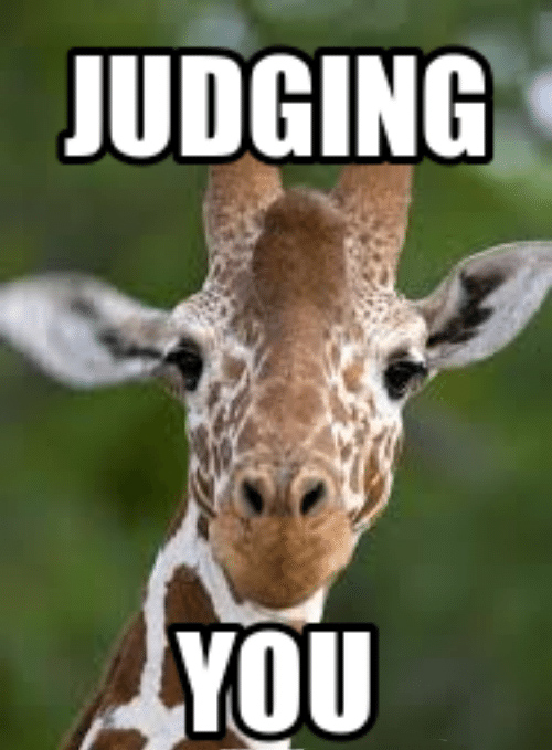 giraffe.jpg