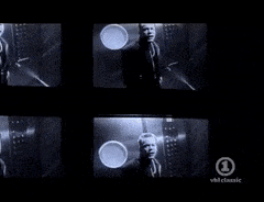BrownFrigidJay-max-1mb.gif
