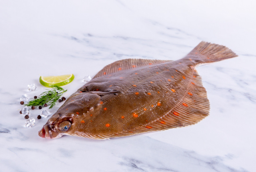 Plaice.jpg