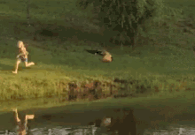 tenor.gif