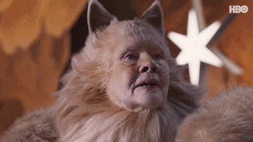 Cats The Musical No GIF by HBO Max