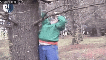 ladder GIF
