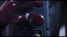 terminator1-terminator.gif