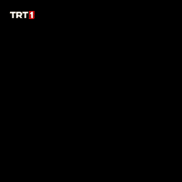 Fight Fighting GIF by TRT