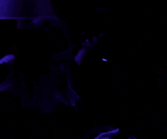 season 6 friends GIF