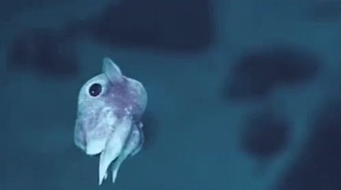 aaf467e27892750b4de880a2f3fca151.gif