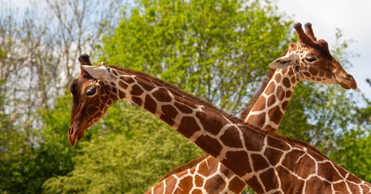 wildplace.org.uk