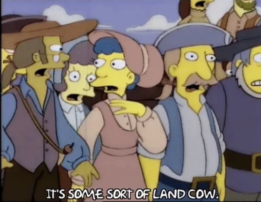 FjaVmTRXEAMXNEn.jpg