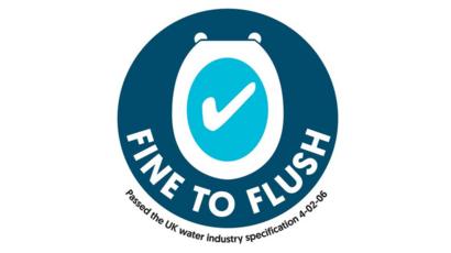_105144547_flush-logo-edit.jpg