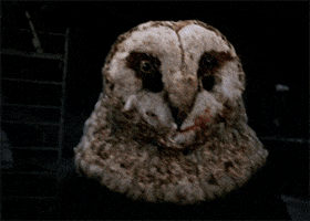 stage fright horror GIF by Shudder