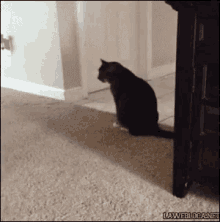 itchy-butt-carpet.gif