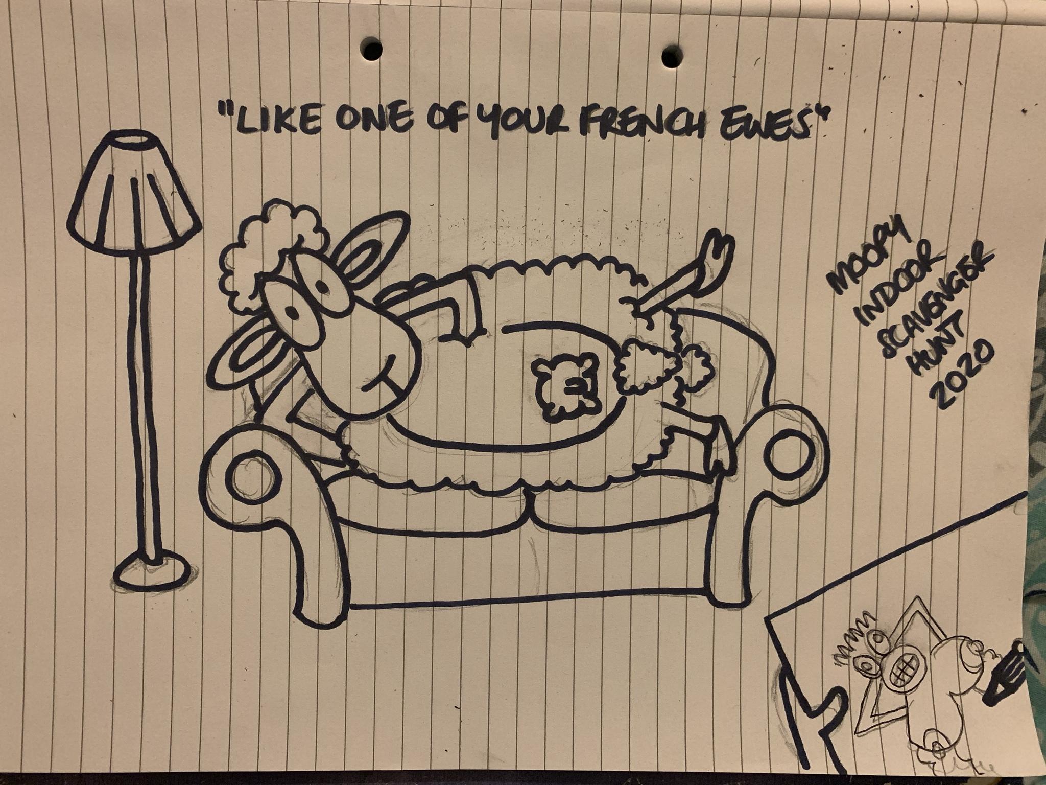 bbIbir2.jpg