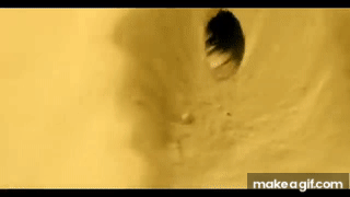 0yUx6y.gif