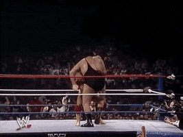 hulk hogan wrestling GIF by WWE