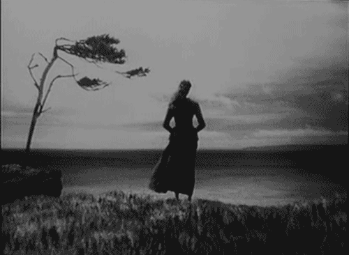GraveGoldenBaiji-size_restricted.gif