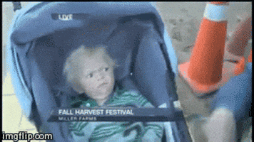 Baby Reaction GIF