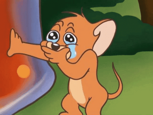 tom-y-jerry-tom-and-jerry.gif