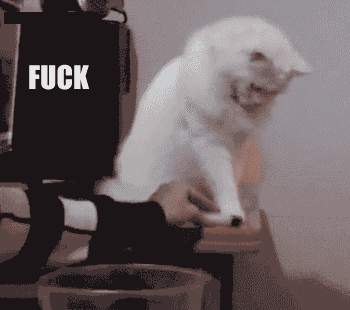 a1b013e8046a496eb8e3d335f70d5b03.gif
