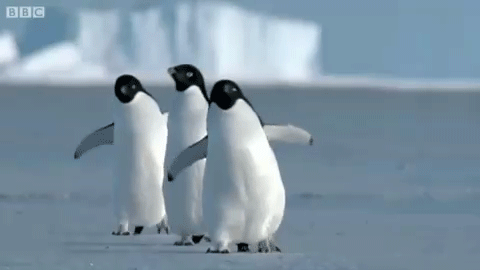 a7640a6816f3232ce8be532ae4a22371.gif