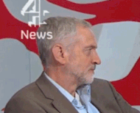0d88984570310e486dfa5ba2b32813fb_w200.gif