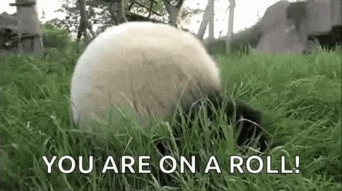 rolling-pads.gif