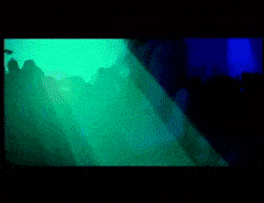 WillingInferiorFalcon-max-1mb.gif