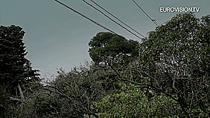 c3fxotj.gif
