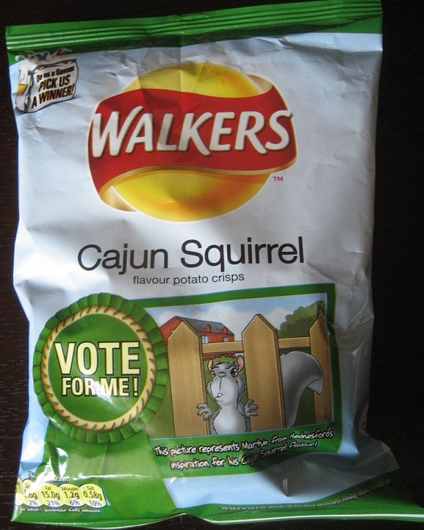 squirrel1.jpg