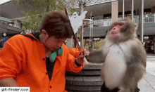 monkey-hit.gif