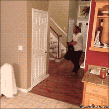 94b2cc440d4a772a5aadec201030b221.gif