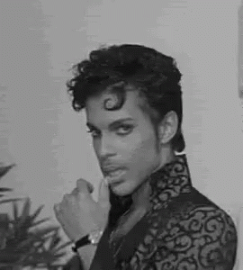 prince-sexy.gif