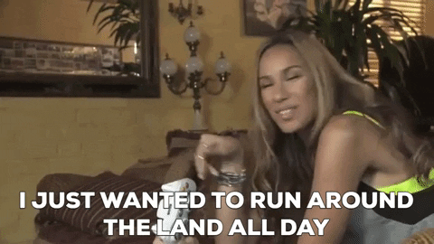 giphy.gif