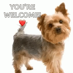 ca9aef16502fdcf92df8bfff7198e728.gif