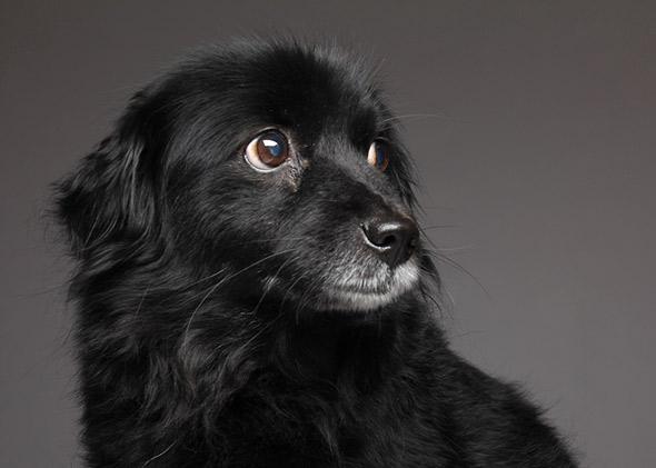 7ae6d256-563e-4f94-ac87-7cb9579ad3ff.jpg
